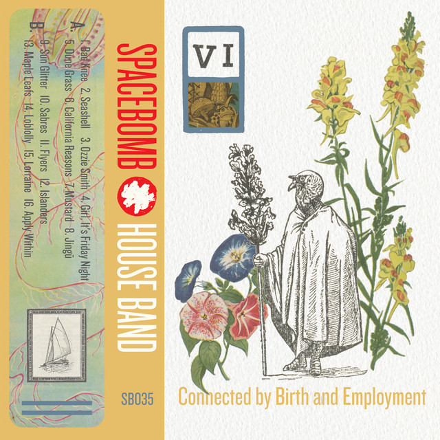 VI: Connected by Birth and Employment album cover