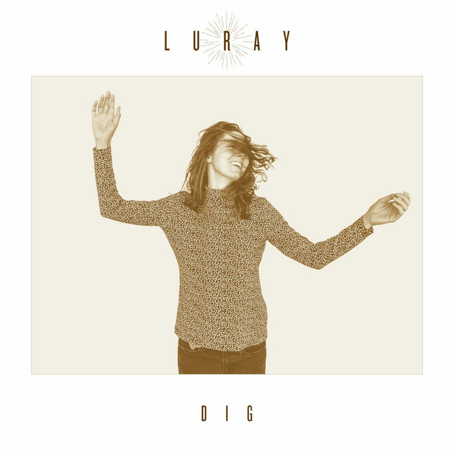 Dig album cover