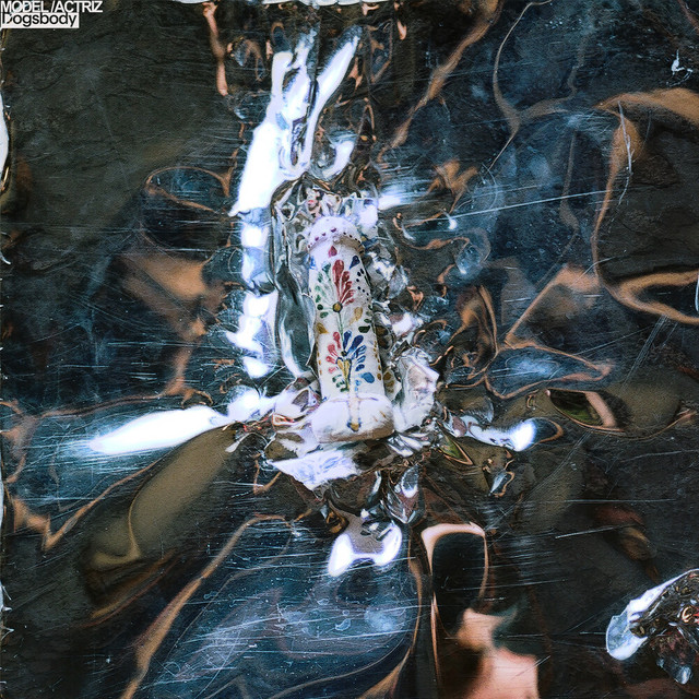 Dogsbody album cover