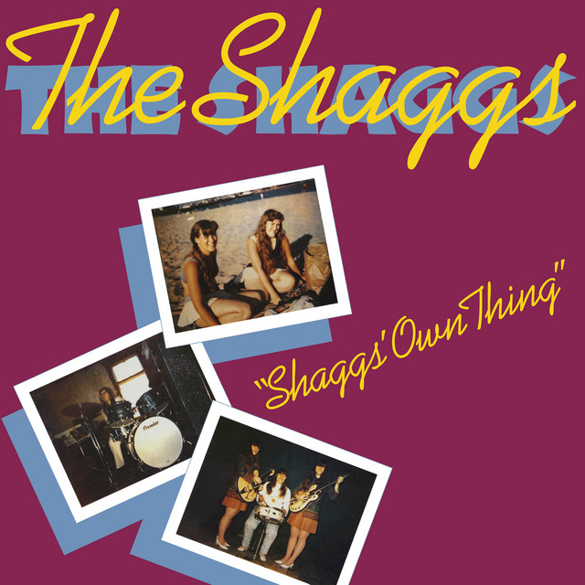 Shaggs' Own Thing album cover