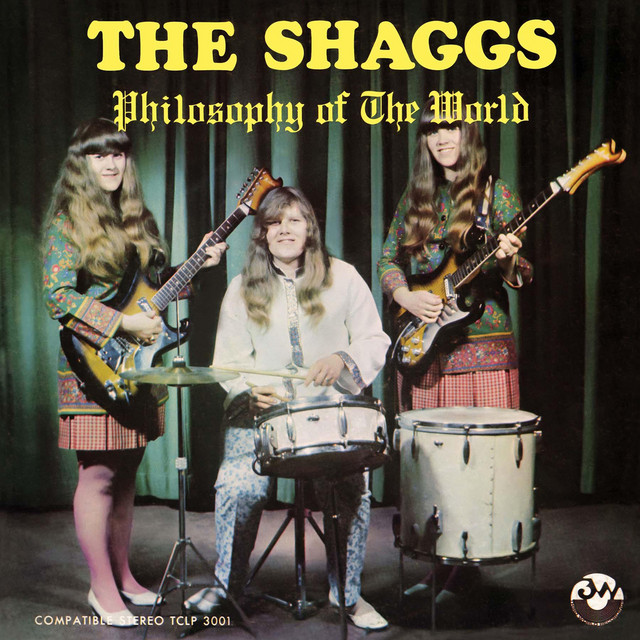 Avalon AV-2T as heard on Philosophy of the World by The Shaggs (2016)