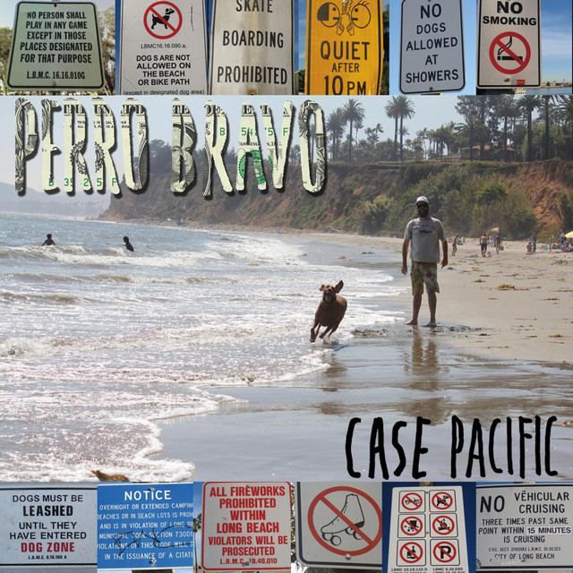 Case Pacific album cover