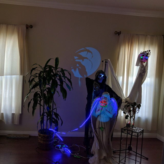 Soft Rules album cover