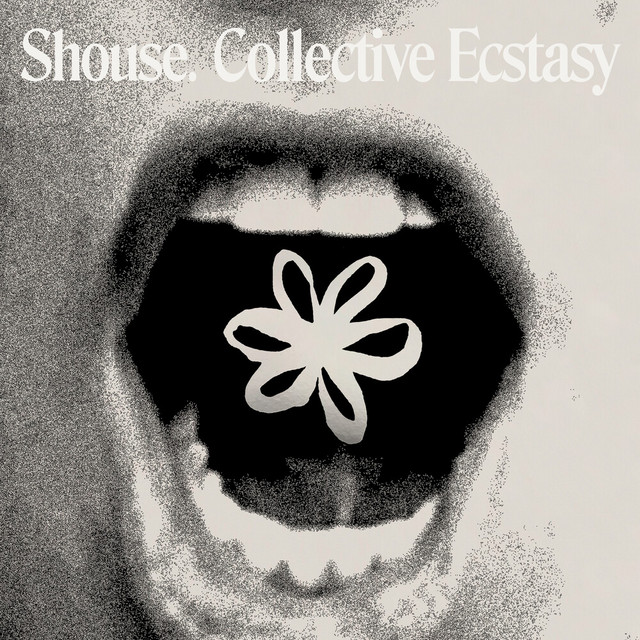 Collective Ecstasy album cover