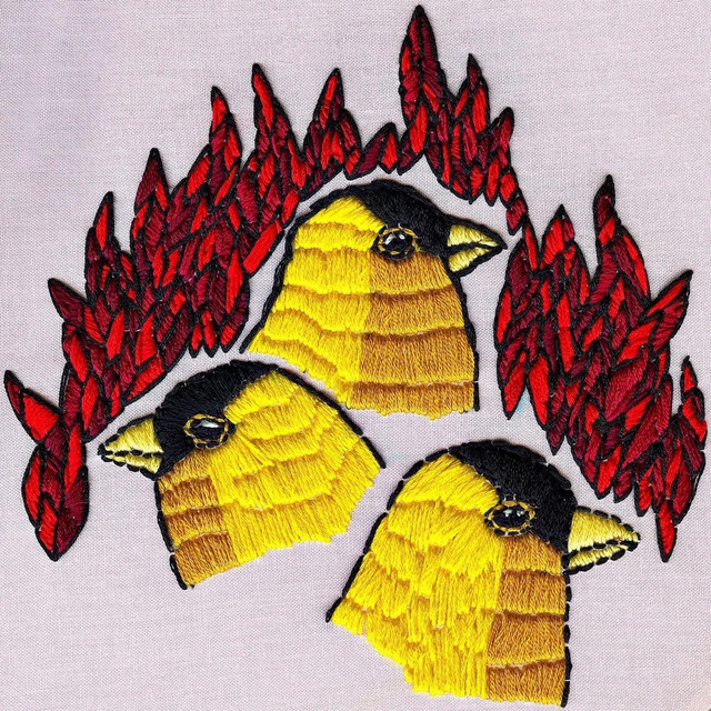Impossible Animals album cover