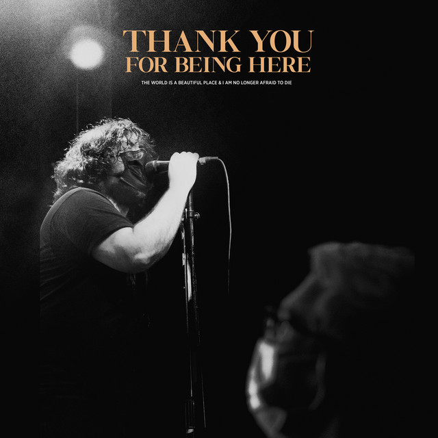 Thank You For Being Here (Live) album cover