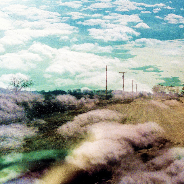 Always Foreign album cover