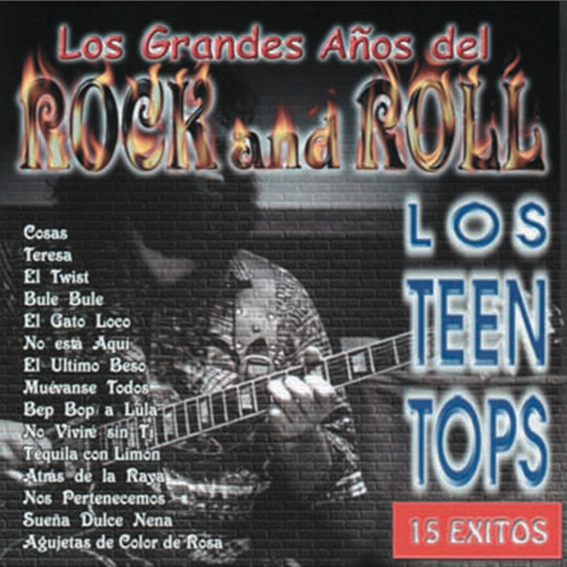 Los Grandes Años del Rock Vol. I album cover
