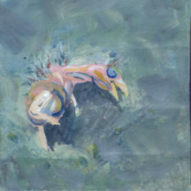 return album cover