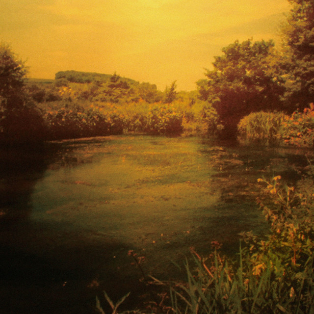 卵 album cover