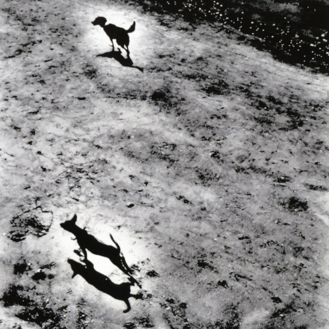 中学生 album cover