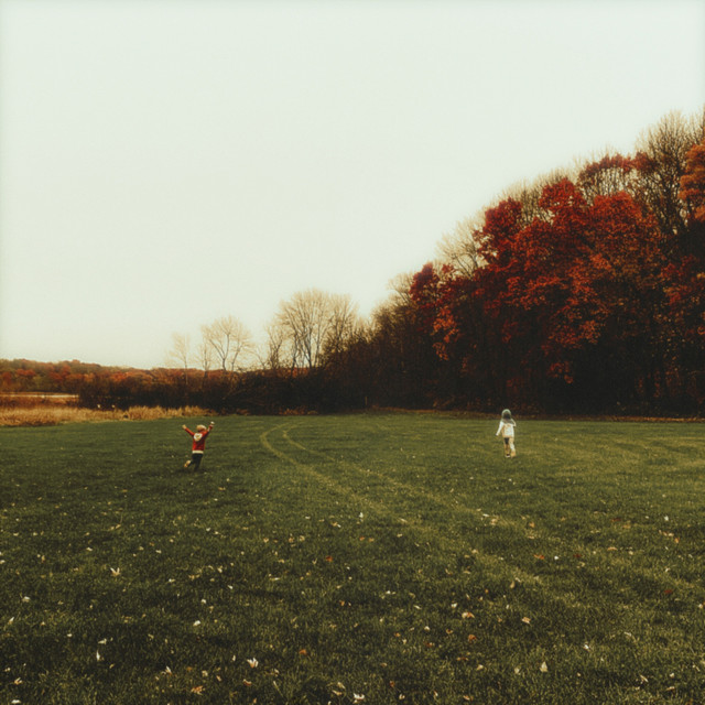 Cedar Grove album cover