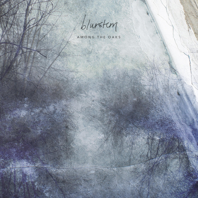 Among the Oaks album cover