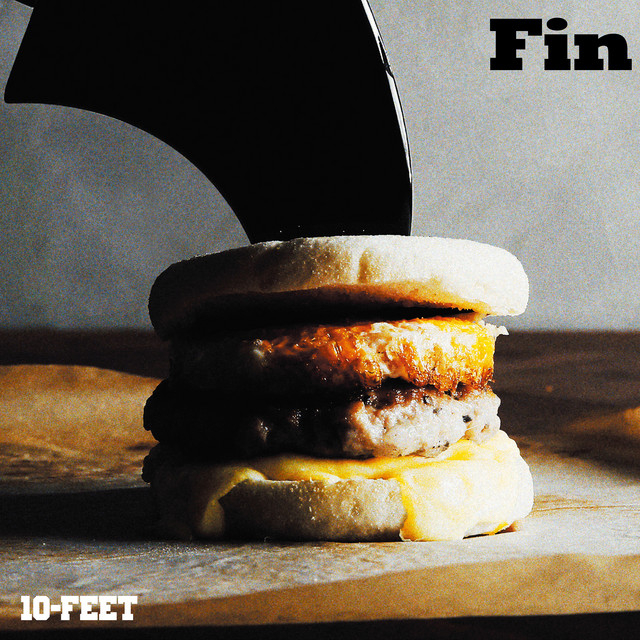 Fin album cover