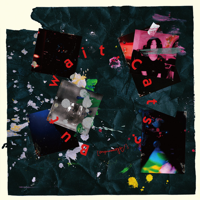 But wait. Cats? album cover