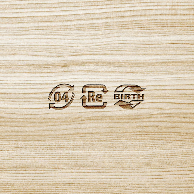 Re-Birth album cover