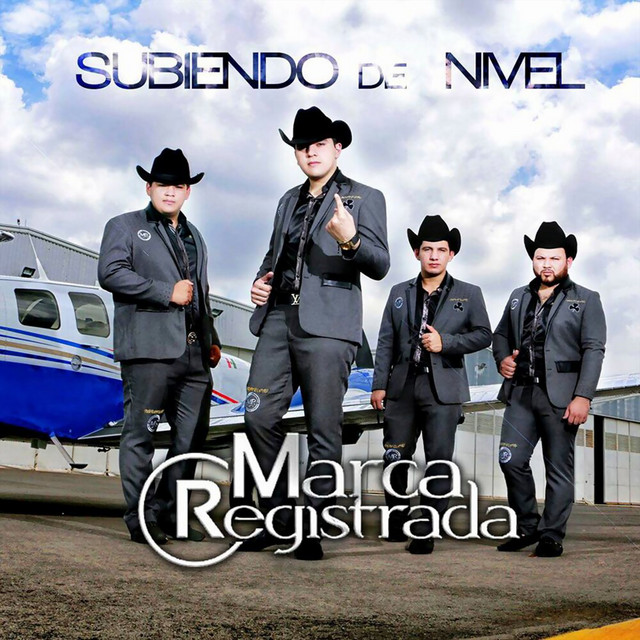 Subiendo De Nivel album cover
