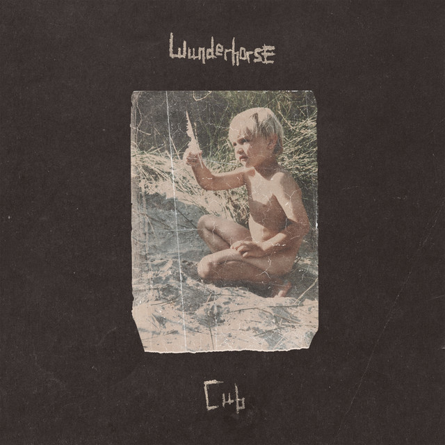 Cub album cover