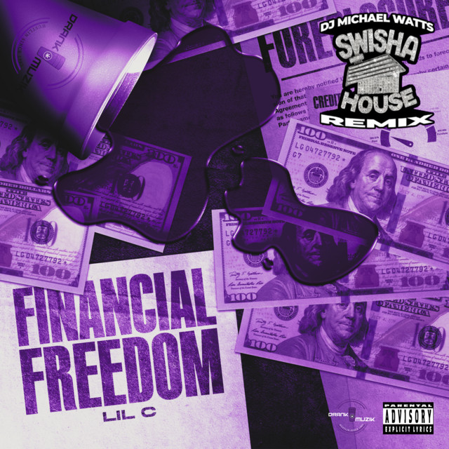 Financial Freedom (Swishahouse Remix) album cover