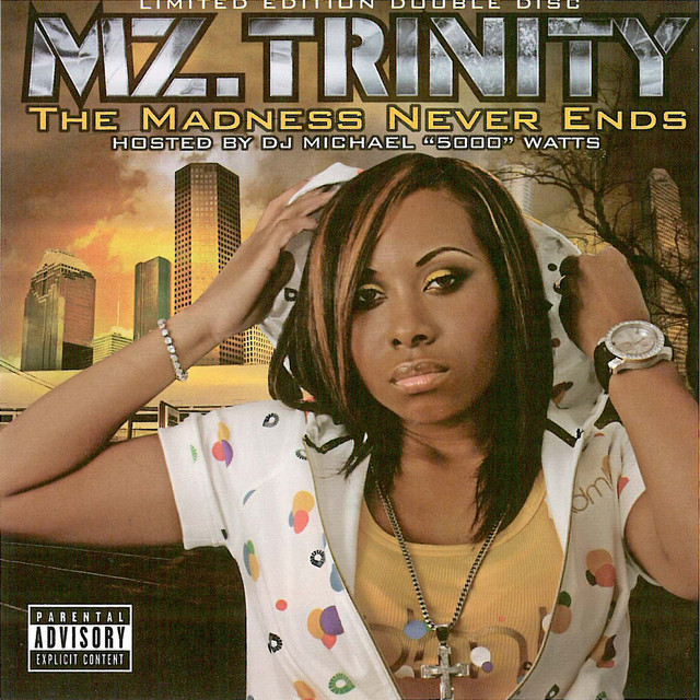 The Madness Never Ends album cover