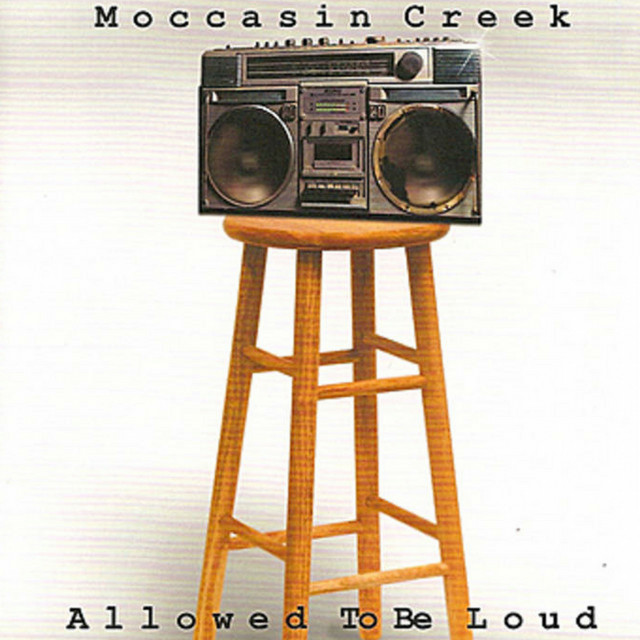 Allowed to Be Loud album cover
