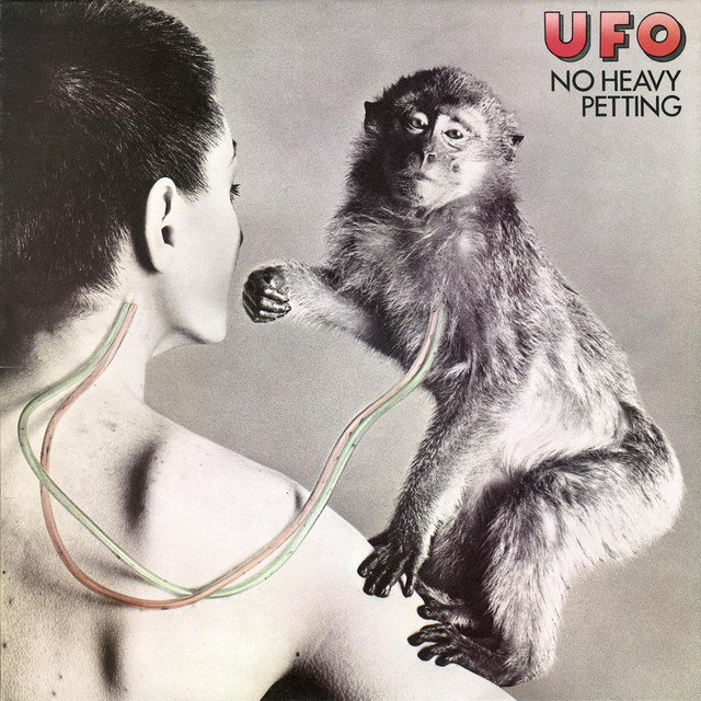 No Heavy Petting (2007 Remaster) album cover