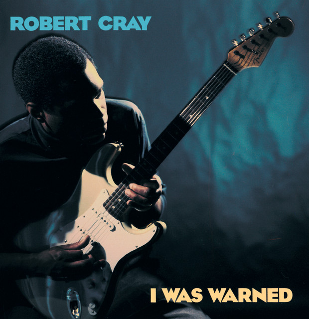 I Was Warned album cover