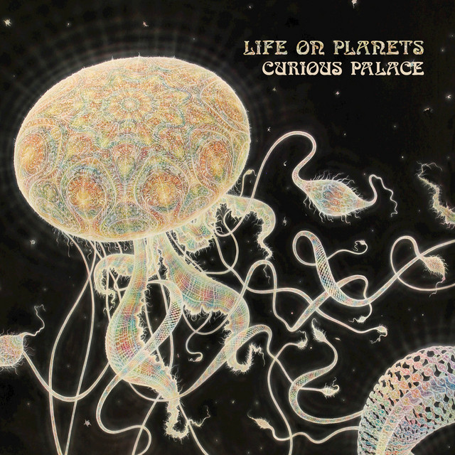 Curious Palace album cover