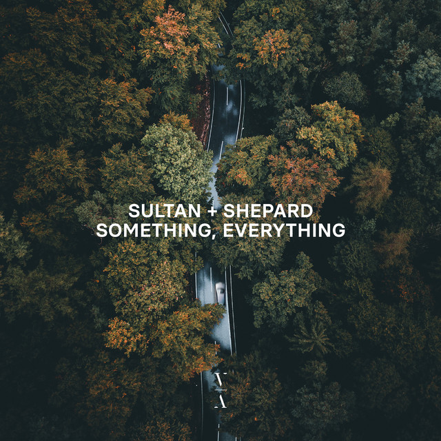 Something, Everything album cover