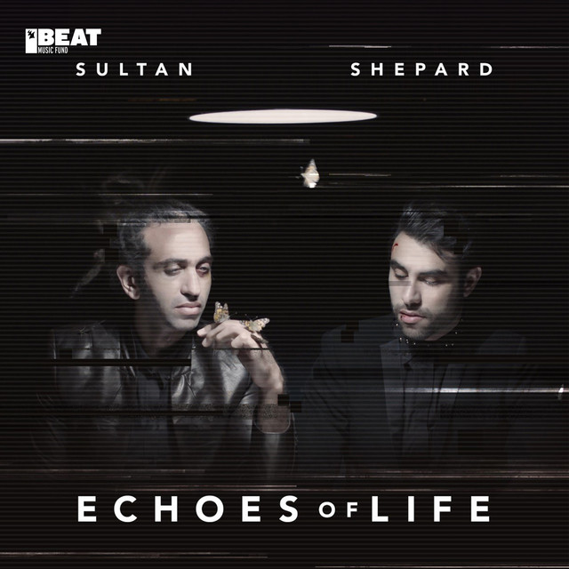 Echoes Of Life: Day album cover