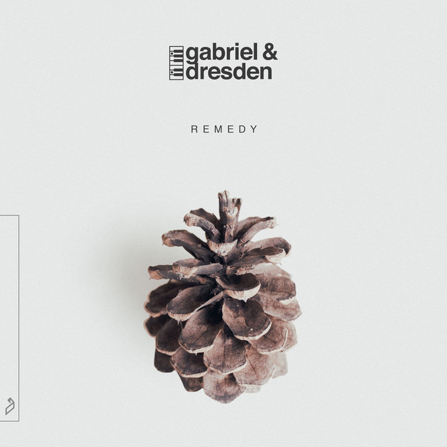 Remedy album cover