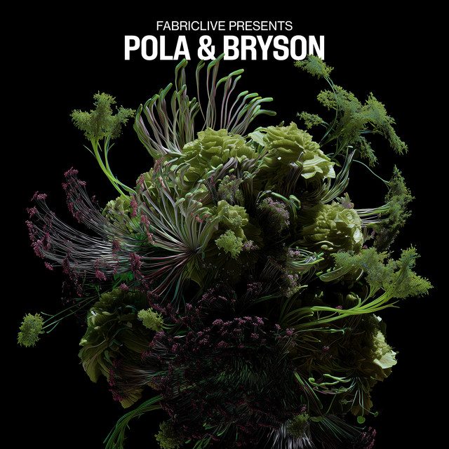 FABRICLIVE presents Pola & Bryson (DJ Mix) album cover