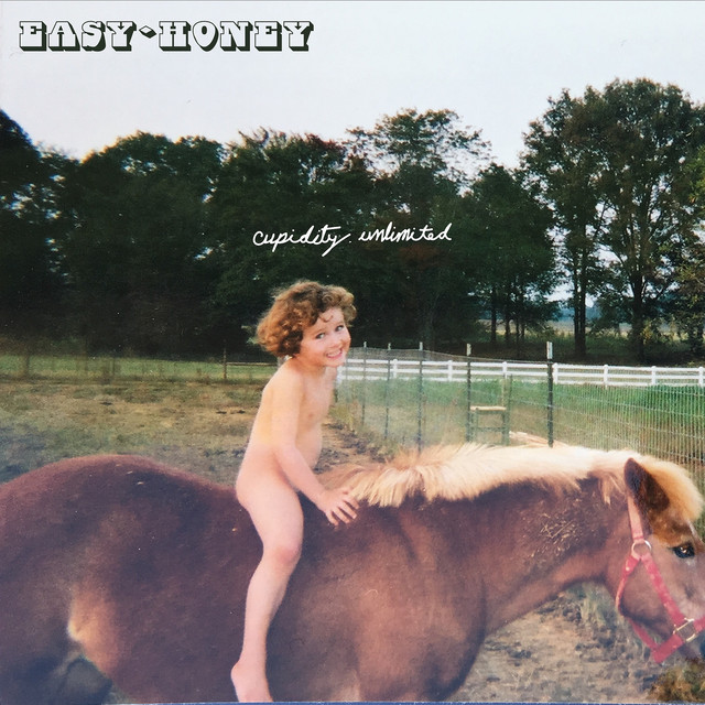 Cupidity Unlimited album cover