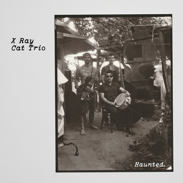 Haunted album cover
