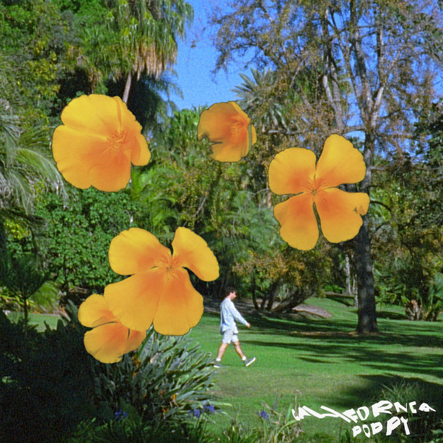 California Poppy album cover