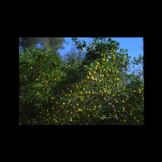 Type B album cover