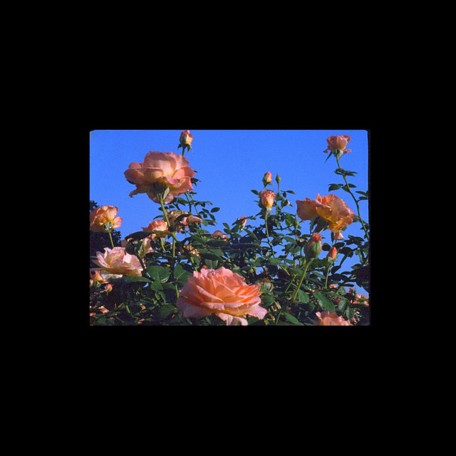 Type A album cover