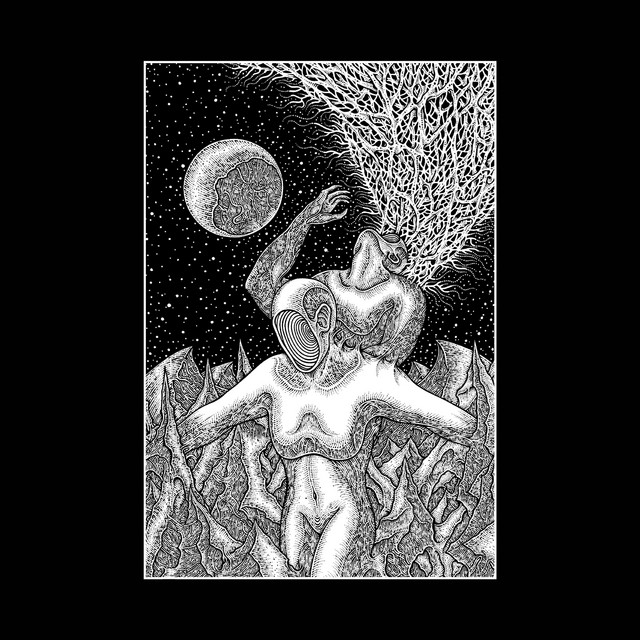 Hail the Void album cover