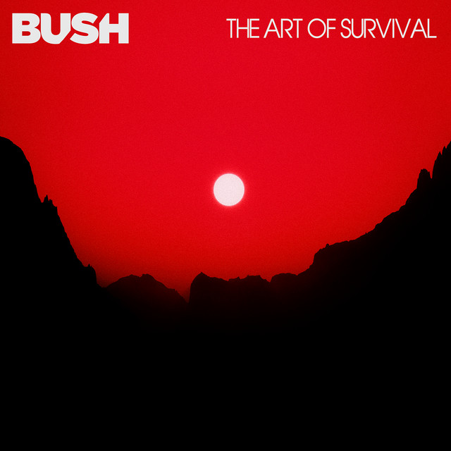 The Art Of Survival album cover