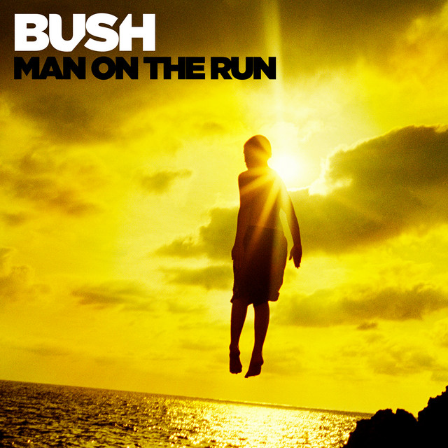 Man on the Run - Track by Track Commentary album cover