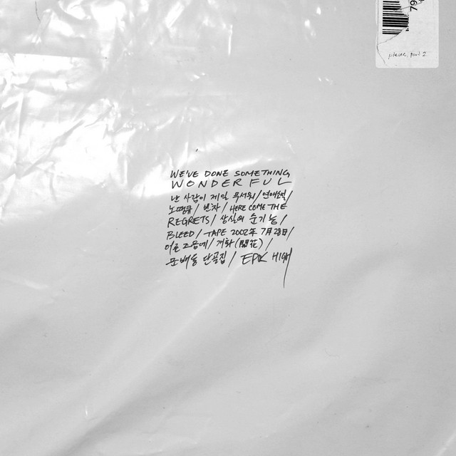 WE'VE DONE SOMETHING WONDERFUL album cover