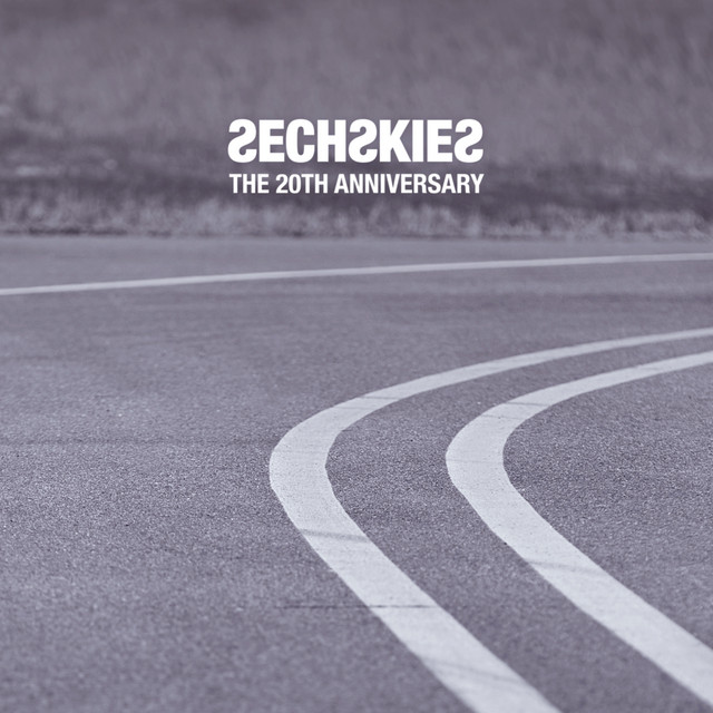 THE 20TH ANNIVERSARY album cover