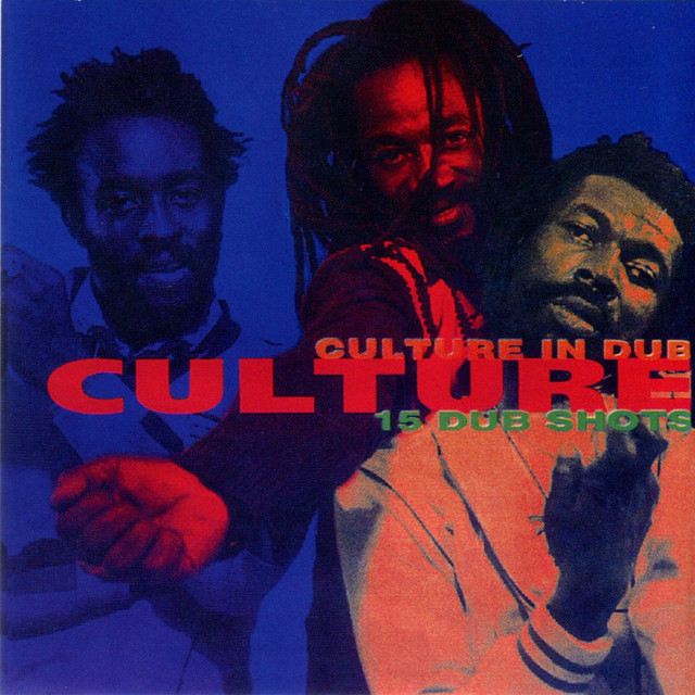 Culture in Dub album cover