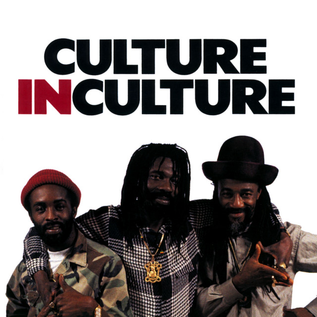 Culture In Culture album cover