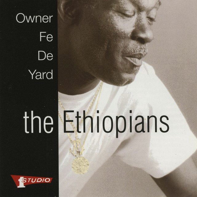Owner Fe De Yard album cover