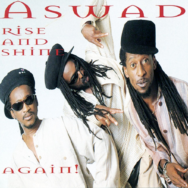 Rise And Shine Again! album cover