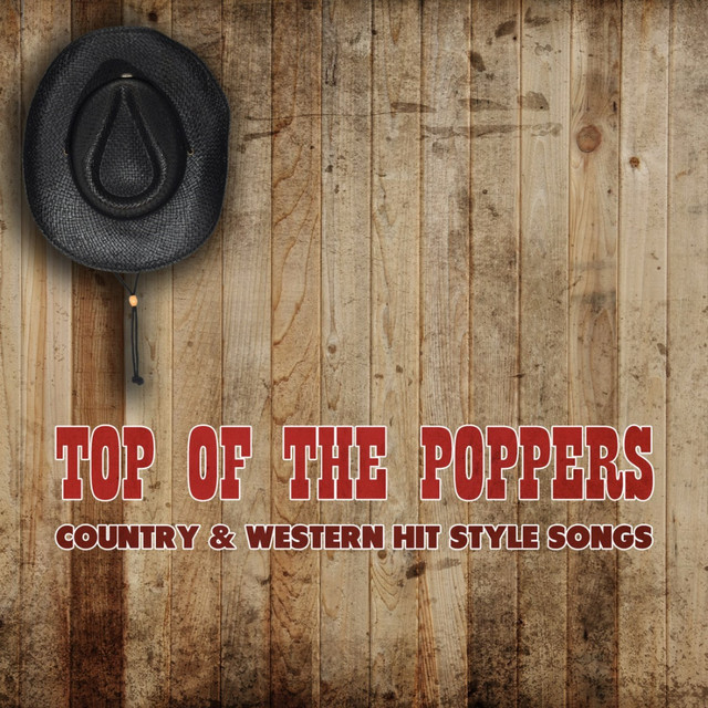 Country & Western Hit Style Songs album cover