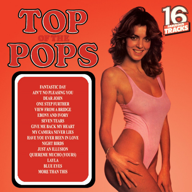 TOP OF THE POPS 91 album cover