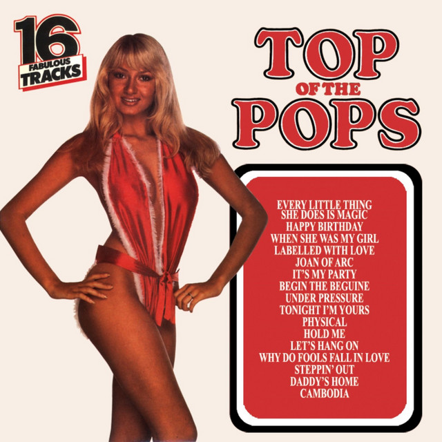 TOP OF THE POPS 89 album cover