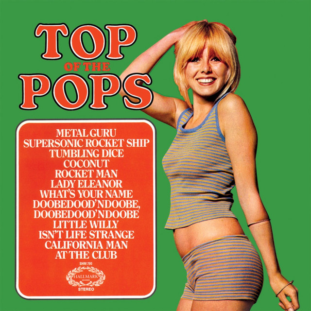 TOP OF THE POPS 24 album cover